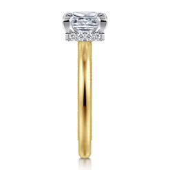 Gabriel & Co. Sandi - 14K White-Yellow Gold East West Princess Cut Diamond Engagement Ring