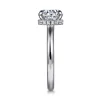 Hot Gabriel & Co. Sandi - Platinum Round Diamond Engagement Ring