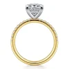New Gabriel & Co. Stasia - 14K White-Yellow Gold Princess Cut Diamond Engagement Ring