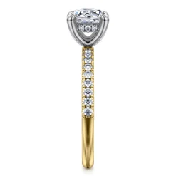 Best Gabriel & Co. Stasia - 14K White-Yellow Gold Round Cut Diamond Engagement Ring