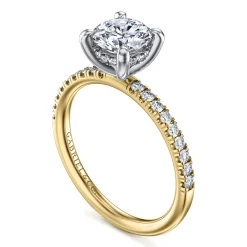 Best Gabriel & Co. Stasia - 14K White-Yellow Gold Round Cut Diamond Engagement Ring
