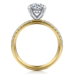 Best Gabriel & Co. Stasia - 14K White-Yellow Gold Round Cut Diamond Engagement Ring