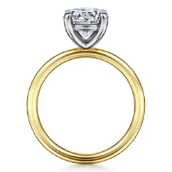 Best Gabriel & Co. Tiana - 14K Yellow-White Gold Round Solitaire Diamond Engagement Ring