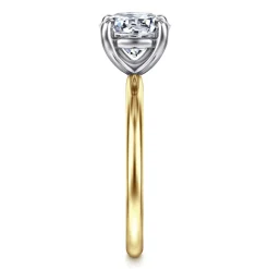 Best Gabriel & Co. Tiana - 14K Yellow-White Gold Round Solitaire Diamond Engagement Ring