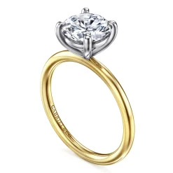 Best Gabriel & Co. Tiana - 14K Yellow-White Gold Round Solitaire Diamond Engagement Ring