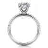 Best Gabriel & Co. Twain - 14K White Gold Oval Diamond Engagement Ring