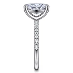 Best Gabriel & Co. Twain - 14K White Gold Oval Diamond Engagement Ring