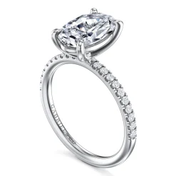 Best Gabriel & Co. Twain - 14K White Gold Oval Diamond Engagement Ring
