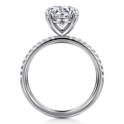 Best Gabriel & Co. Twain - 14K White Gold Round Diamond Engagement Ring