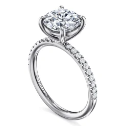 Best Gabriel & Co. Twain - 14K White Gold Round Diamond Engagement Ring