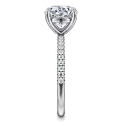 Best Gabriel & Co. Twain - 14K White Gold Round Diamond Engagement Ring
