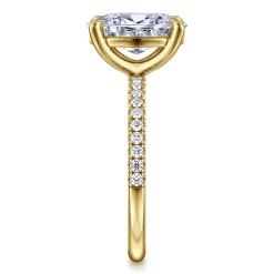 Best Gabriel & Co. Twain - 14K Yellow Gold Oval Diamond Engagement Ring