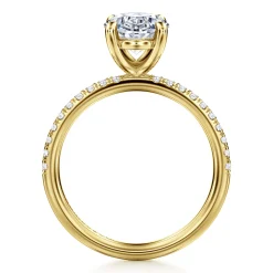 Best Gabriel & Co. Twain - 14K Yellow Gold Oval Diamond Engagement Ring