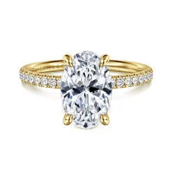 Best Gabriel & Co. Twain - 14K Yellow Gold Oval Diamond Engagement Ring