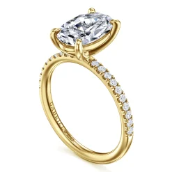 Best Gabriel & Co. Twain - 14K Yellow Gold Oval Diamond Engagement Ring