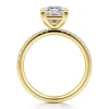 Gabriel & Co. Twain - 14K Yellow Gold Princess Cut Diamond Engagement Ring