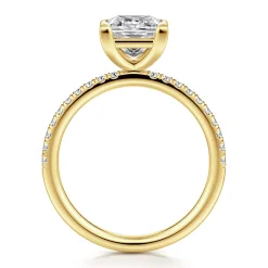 Gabriel & Co. Twain - 14K Yellow Gold Princess Cut Diamond Engagement Ring
