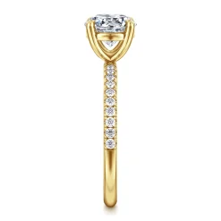 Outlet Gabriel & Co. Twain - 14K Yellow Gold Round Diamond Engagement Ring