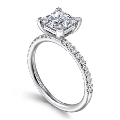 Outlet Gabriel & Co. Twain - Platinum Princess Cut Diamond Engagement Ring