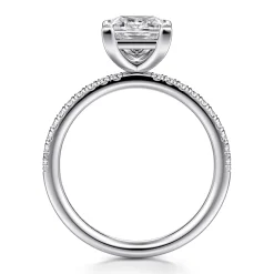 Outlet Gabriel & Co. Twain - Platinum Princess Cut Diamond Engagement Ring