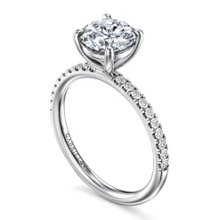 Online Gabriel & Co. Twain - Platinum Round Diamond Engagement Ring
