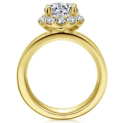 Best Gabriel & Co. Virginia - 14K Yellow Gold Round Halo Diamond Engagement Ring