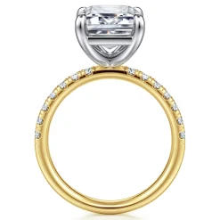 Best Gabriel & Co. Winslow - 14K White-Yellow Gold Emerald Cut Diamond Engagement Ring