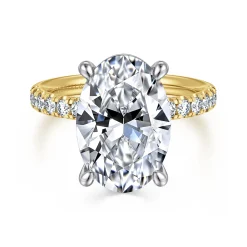 Best Gabriel & Co. Winslow - 14K White-Yellow Gold Oval Diamond Engagement Ring