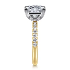 Hot Gabriel & Co. Winslow - 14K White-Yellow Gold Princess Cut Diamond Engagement Ring