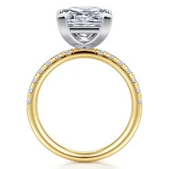 Hot Gabriel & Co. Winslow - 14K White-Yellow Gold Princess Cut Diamond Engagement Ring