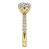 Best Gabriel & Co. Winslow - 14K Yellow Gold Round Diamond Engagement Ring