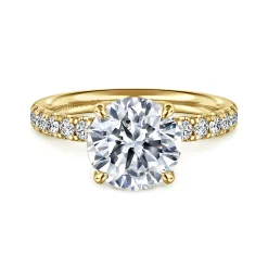 Best Gabriel & Co. Winslow - 14K Yellow Gold Round Diamond Engagement Ring