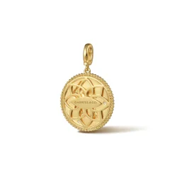 Best Gabriel & Co. Zodiac - 14K Yellow Gold Diamond Bujukan Aquarius Medallion Pendant With Detachable Bail